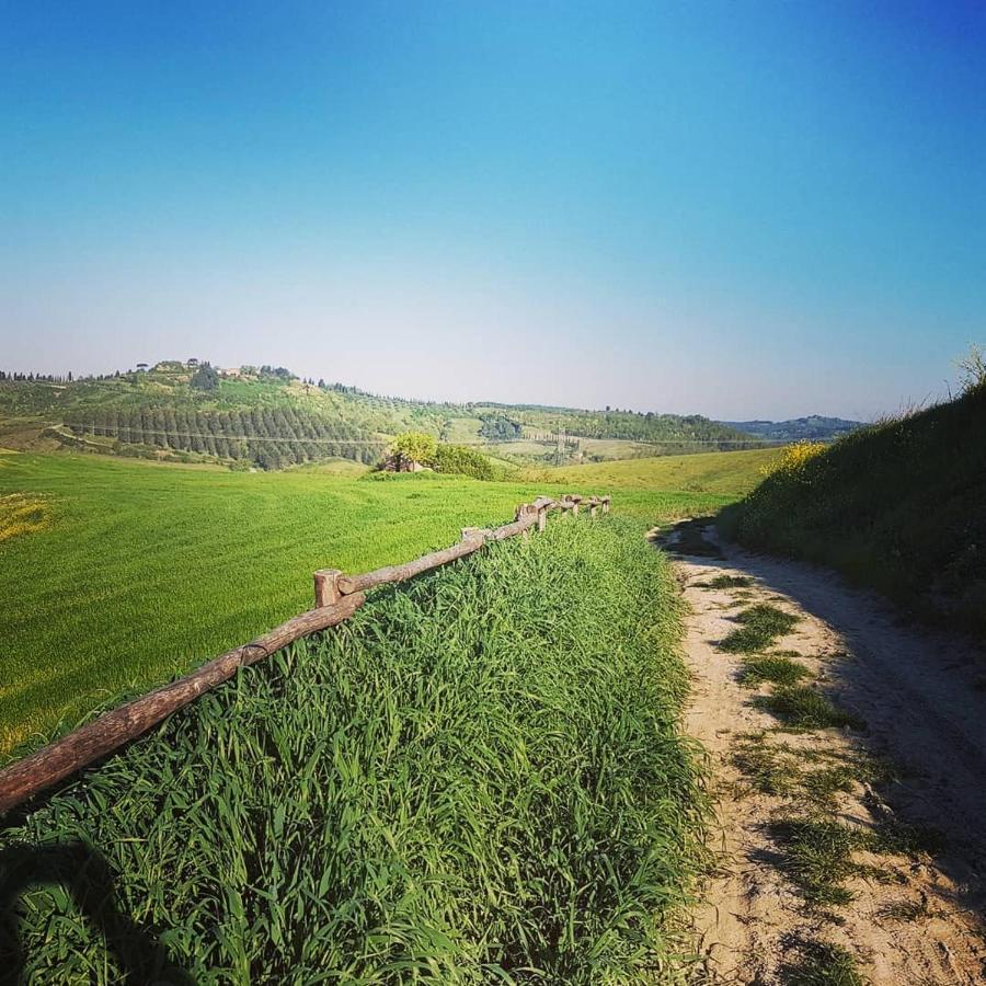 Villa Niccoli Castelfiorentino Exteriér fotografie