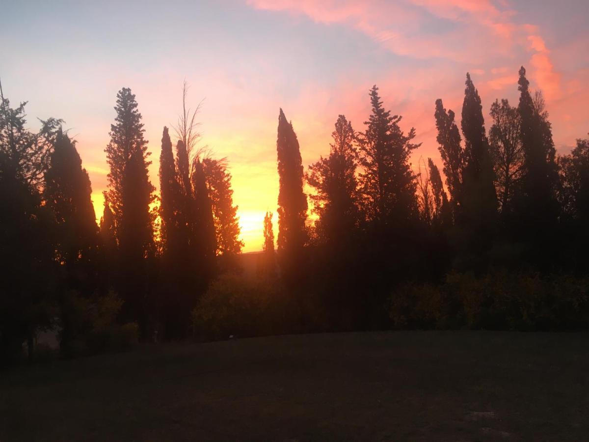 Villa Niccoli Castelfiorentino Exteriér fotografie