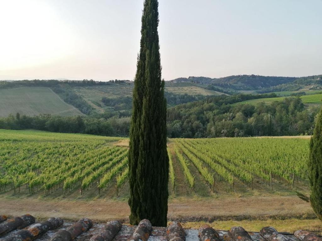 Villa Niccoli Castelfiorentino Exteriér fotografie